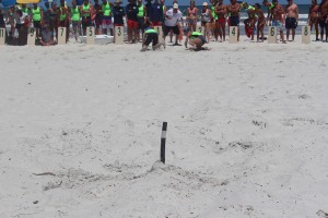 USLA Lifeguard Competition Daytona 2017 Thurs (75)