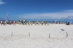 USLA Lifeguard Competition Daytona 2017 Thurs (88)