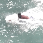 World Bodysurfing 2018 Oceanside California