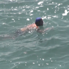 World Bodysurfing 2018 Oceanside California