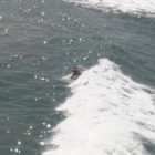 World Bodysurfing 2018 Oceanside California